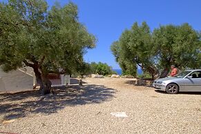 Ulivi Pasuli Rare View e Privacy