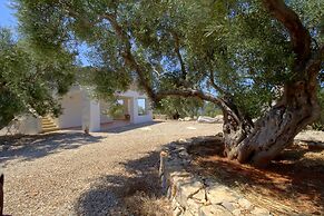 Ulivi Pasuli Rare View e Privacy