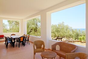 Ulivi Pasuli Rare View e Privacy