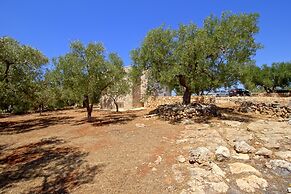 Ulivi Pasuli Rare View e Privacy