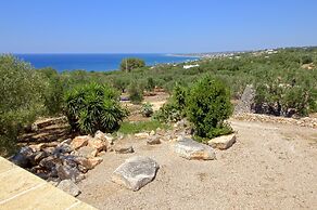 Ulivi Pasuli Rare View e Privacy