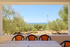 Ulivi Pasuli Rare View e Privacy