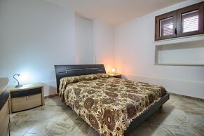 Salvia Lovely Seaview