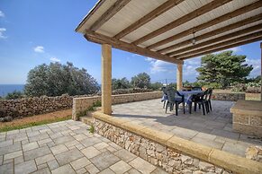 Salvia Lovely Seaview