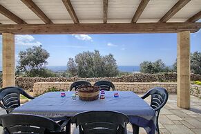 Salvia Lovely Seaview