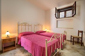 Salvia Lovely Seaview