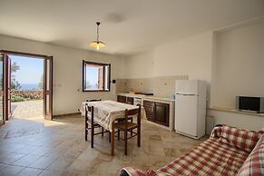 Salvia Lovely Seaview