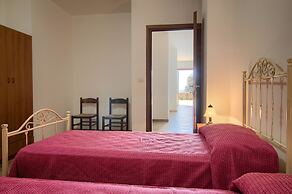 Salvia Lovely Seaview