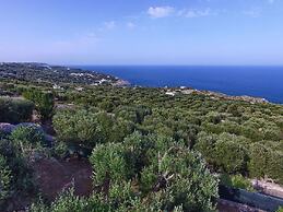 Albachiara Pool House