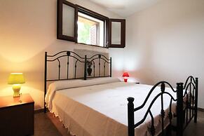 Pino Amazing Seaview