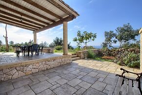 Pino Amazing Seaview