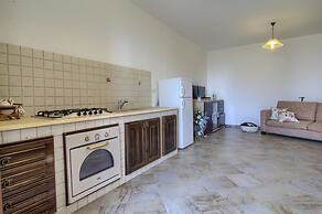 Pino Amazing Seaview