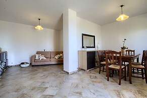 Pino Amazing Seaview