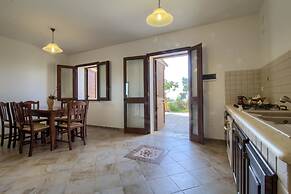 Pino Amazing Seaview