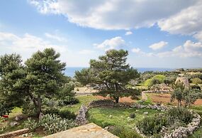 Pino Amazing Seaview