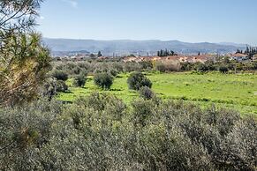 Phoenix Beachside Condos