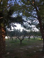 Phoenix Beachside Condos