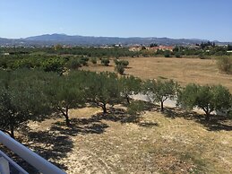Phoenix Beachside Condos