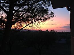 Phoenix Beachside Condos