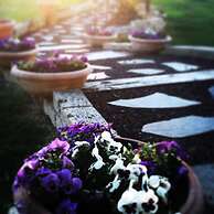 Agriturismo Le Rondinelle