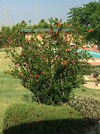 Agriturismo Le Rondinelle