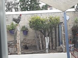 Tzionis Petroktisto Holiday Stonehouse