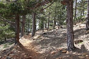 Tzionis Petroktisto Holiday Stonehouse