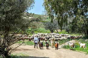 Tzionis Petroktisto Holiday Stonehouse