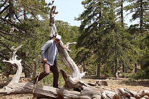 Tzionis Petroktisto Holiday Stonehouse