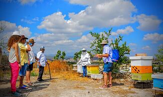 Tzionis Petroktisto Holiday Stonehouse