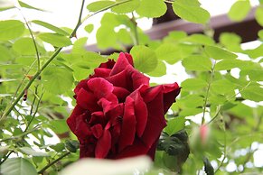 Tzionis Petroktisto Holiday Stonehouse