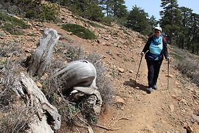 Tzionis Petroktisto Holiday Stonehouse