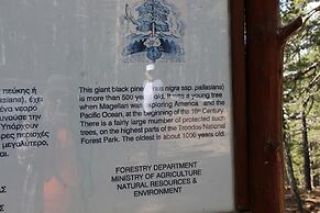 Tzionis Petroktisto Holiday Stonehouse