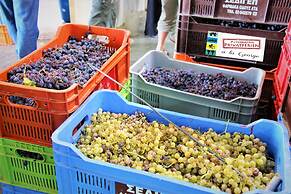 Tzionis Petroktisto Holiday Stonehouse