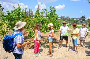 Tzionis Petroktisto Holiday Stonehouse