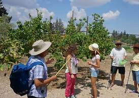Tzionis Petroktisto Holiday Stonehouse