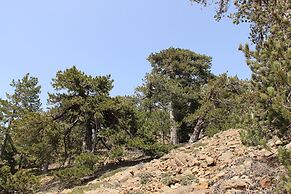 Tzionis Petroktisto Holiday Stonehouse