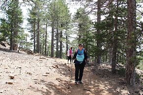 Tzionis Petroktisto Holiday Stonehouse