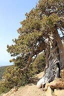 Tzionis Petroktisto Holiday Stonehouse