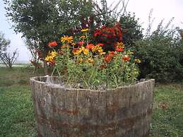 La Quercia del Saggio