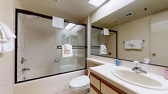 Bridges 105 Pet-Friendly. Ski-in Ski-out Condo with Beautiful Mountain