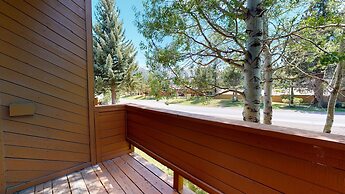 Snowflower 81 Mountain Rustic with Great Complex Amenities, On The Shu