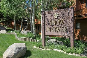 Snowflower 81 Mountain Rustic with Great Complex Amenities, On The Shu