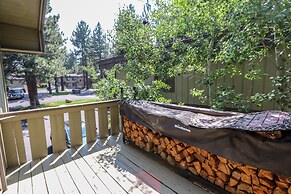 Chateau de Montagne 29 Updated and Spacious with Private Washer Dryer,