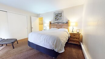 Chateau de Montagne 29 Updated and Spacious with Private Washer Dryer,