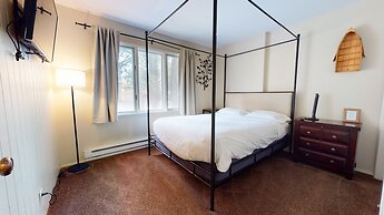 Chateau de Montagne 29 Updated and Spacious with Private Washer Dryer,