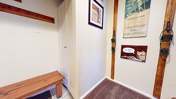 Chateau de Montagne 29 Updated and Spacious with Private Washer Dryer,