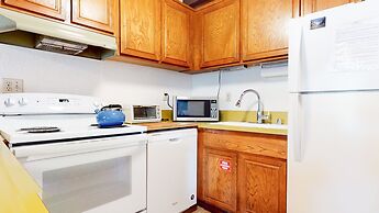 Val DIsere 6 Pet-Friendly Mountain Rustic Spacious Condo only Short Wa