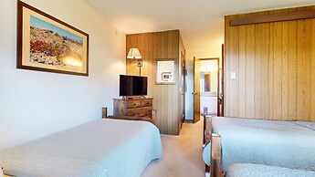 Chateau Blanc 25 Cozy with Gorgeous Mountain Views, On the Shuttle Rou