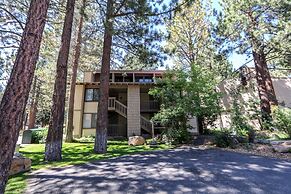 Horizons 4 120 Great Complex Amenities, On The Shuttle Route, Walk To 